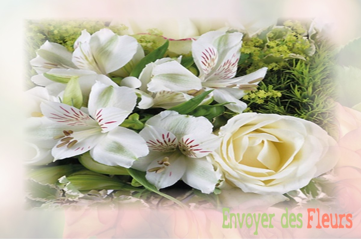 envoyer des fleurs à à VENDRESSE-BEAULNE